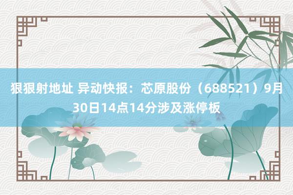 狠狠射地址 异动快报：芯原股份（688521）9月30日14点14分涉及涨停板