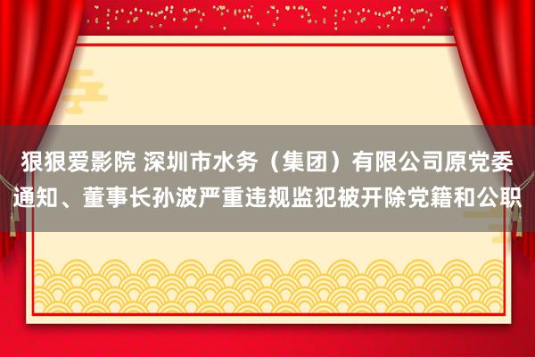 狠狠爱影院 深圳市水务（集团）有限公司原党委通知、董事长孙波严重违规监犯被开除党籍和公职