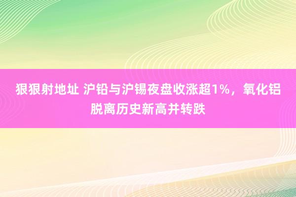 狠狠射地址 沪铅与沪锡夜盘收涨超1%，氧化铝脱离历史新高并转跌