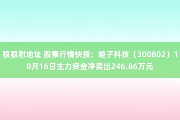 狠狠射地址 股票行情快报：矩子科技（300802）10月16日主力资金净卖出246.86万元