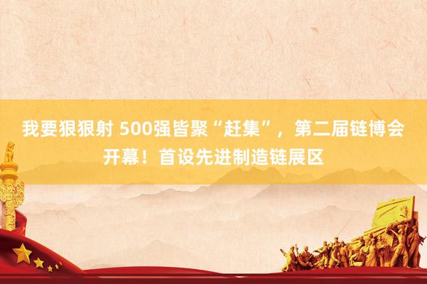 我要狠狠射 500强皆聚“赶集”，第二届链博会开幕！首设先进制造链展区