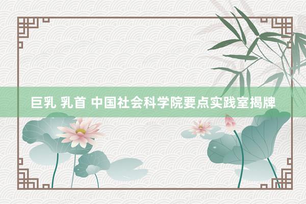 巨乳 乳首 中国社会科学院要点实践室揭牌