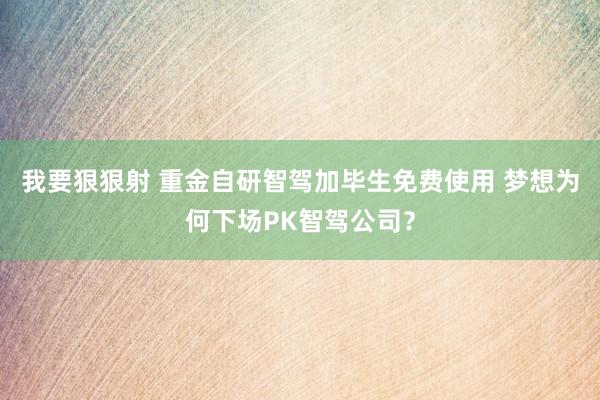 我要狠狠射 重金自研智驾加毕生免费使用 梦想为何下场PK智驾公司？
