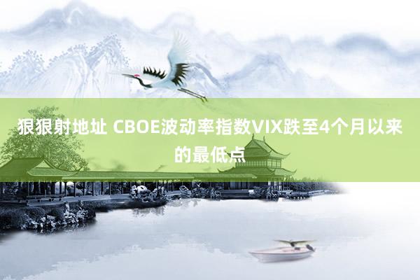 狠狠射地址 CBOE波动率指数VIX跌至4个月以来的最低点