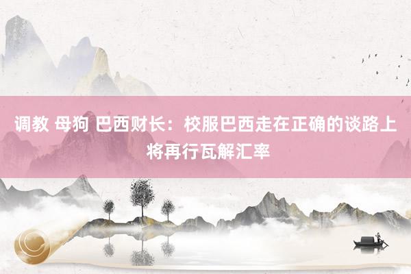 调教 母狗 巴西财长：校服巴西走在正确的谈路上 将再行瓦解汇率