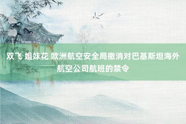 双飞 姐妹花 欧洲航空安全局撤消对巴基斯坦海外航空公司航班的禁令