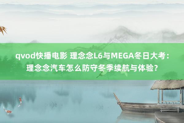 qvod快播电影 理念念L6与MEGA冬日大考：理念念汽车怎么防守冬季续航与体验？