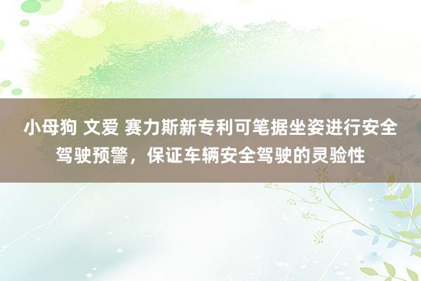 小母狗 文爱 赛力斯新专利可笔据坐姿进行安全驾驶预警，保证车辆安全驾驶的灵验性