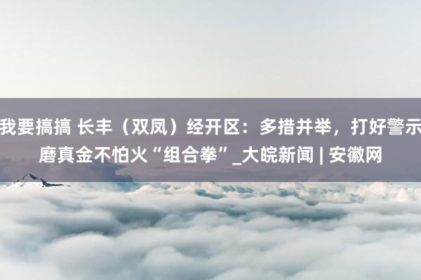 我要搞搞 长丰（双凤）经开区：多措并举，打好警示磨真金不怕火“组合拳”_大皖新闻 | 安徽网