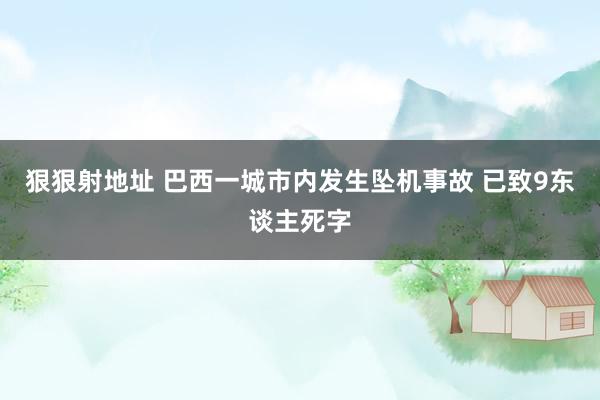 狠狠射地址 巴西一城市内发生坠机事故 已致9东谈主死字