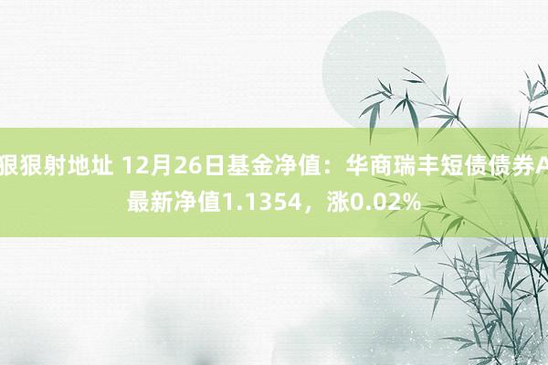 狠狠射地址 12月26日基金净值：华商瑞丰短债债券A最新净值1.1354，涨0.02%