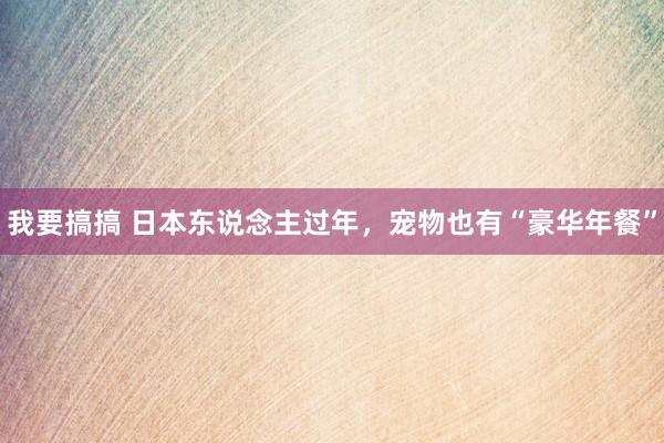 我要搞搞 日本东说念主过年，宠物也有“豪华年餐”