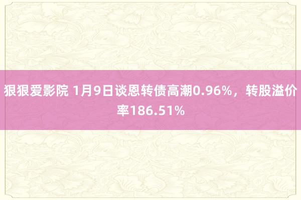 狠狠爱影院 1月9日谈恩转债高潮0.96%，转股溢价率186.51%