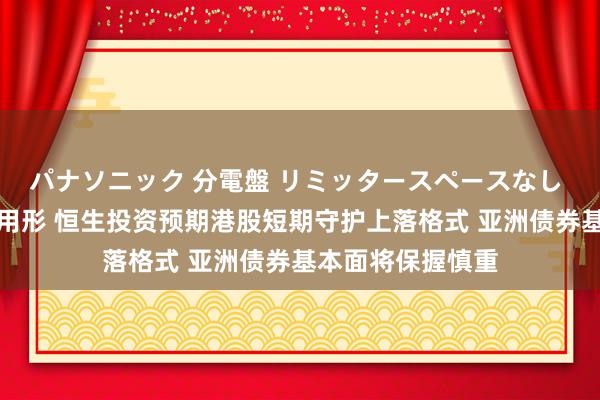パナソニック 分電盤 リミッタースペースなし 露出・半埋込両用形 恒生投资预期港股短期守护上落格式 亚洲债券基本面将保握慎重