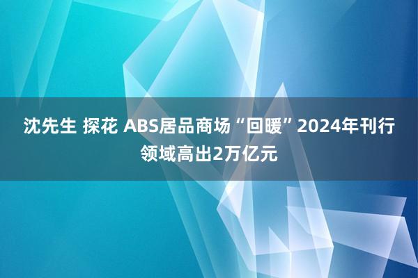 沈先生 探花 ABS居品商场“回暖”2024年刊行领域高出2万亿元
