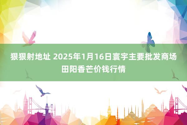 狠狠射地址 2025年1月16日寰宇主要批发商场田阳香芒价钱行情