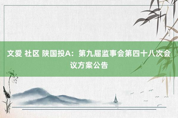 文爱 社区 陕国投A：第九届监事会第四十八次会议方案公告