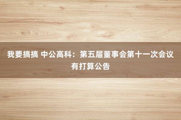 我要搞搞 中公高科：第五届董事会第十一次会议有打算公告