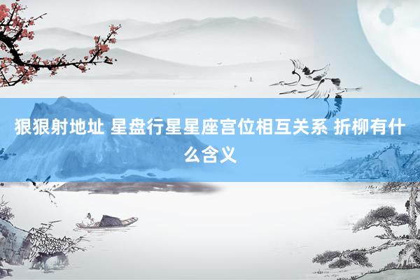 狠狠射地址 星盘行星星座宫位相互关系 折柳有什么含义