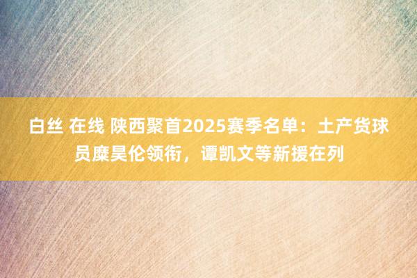 白丝 在线 陕西聚首2025赛季名单：土产货球员糜昊伦领衔，谭凯文等新援在列