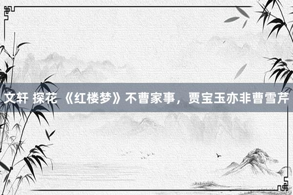 文轩 探花 《红楼梦》不曹家事，贾宝玉亦非曹雪芹
