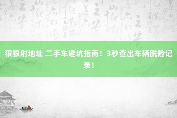 狠狠射地址 二手车避坑指南！3秒查出车辆脱险记录！