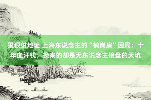 狠狠射地址 上海东说念主的“鹤岗房”困局：十年血汗钱，换来的却是无东说念主接盘的天坑