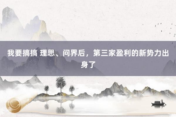 我要搞搞 理思、问界后，第三家盈利的新势力出身了