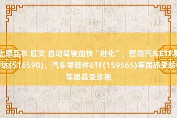 上原亞衣 肛交 自动驾驶加快“进化”，智能汽车ETF易方达(516590)、汽车零部件ETF(159565)等居品受珍视