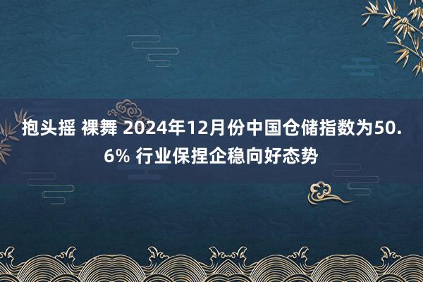 抱头摇 裸舞 2024年12月份中国仓储指数为50.6% 行业保捏企稳向好态势