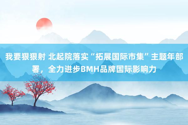 我要狠狠射 北起院落实“拓展国际市集”主题年部署，全力进步BMH品牌国际影响力