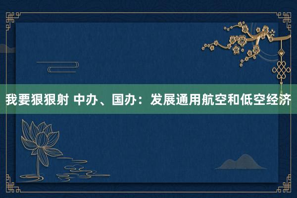 我要狠狠射 中办、国办：发展通用航空和低空经济