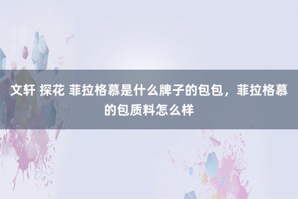 文轩 探花 菲拉格慕是什么牌子的包包，菲拉格慕的包质料怎么样