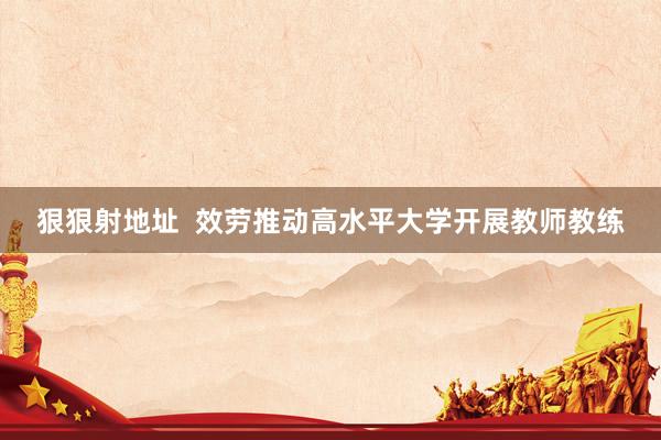狠狠射地址  效劳推动高水平大学开展教师教练