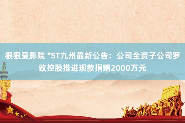 狠狠爱影院 *ST九州最新公告：公司全资子公司罗致控股推进现款捐赠2000万元