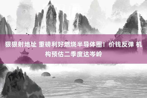 狠狠射地址 重磅利好燃烧半导体圈！价钱反弹 机构预估二季度达岑岭