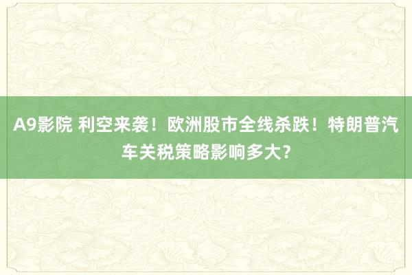 A9影院 利空来袭！欧洲股市全线杀跌！特朗普汽车关税策略影响多大？