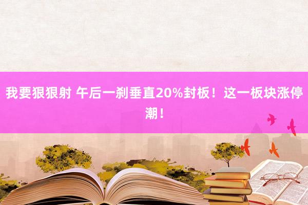 我要狠狠射 午后一刹垂直20%封板！这一板块涨停潮！