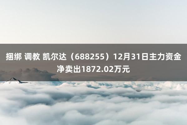 捆绑 调教 凯尔达（688255）12月31日主力资金净卖出1872.02万元