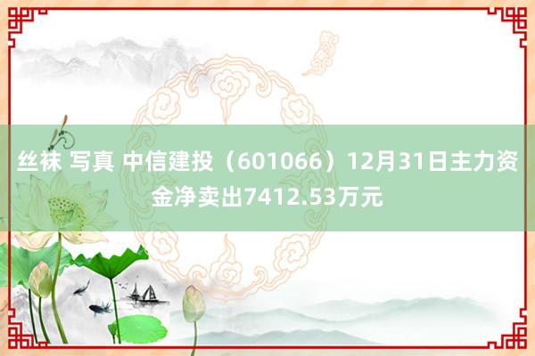 丝袜 写真 中信建投（601066）12月31日主力资金净卖出7412.53万元