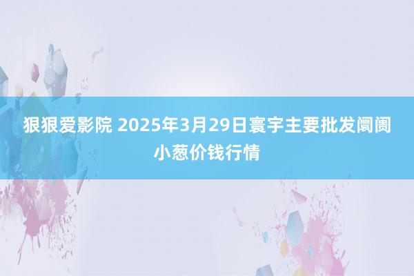狠狠爱影院 2025年3月29日寰宇主要批发阛阓小葱价钱行情