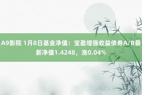 A9影院 1月8日基金净值：宝盈增强收益债券A/B最新净值1.4248，涨0.04%