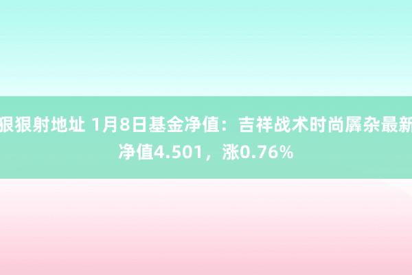 狠狠射地址 1月8日基金净值：吉祥战术时尚羼杂最新净值4.501，涨0.76%