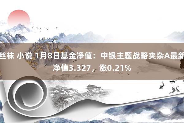 丝袜 小说 1月8日基金净值：中银主题战略夹杂A最新净值3.327，涨0.21%