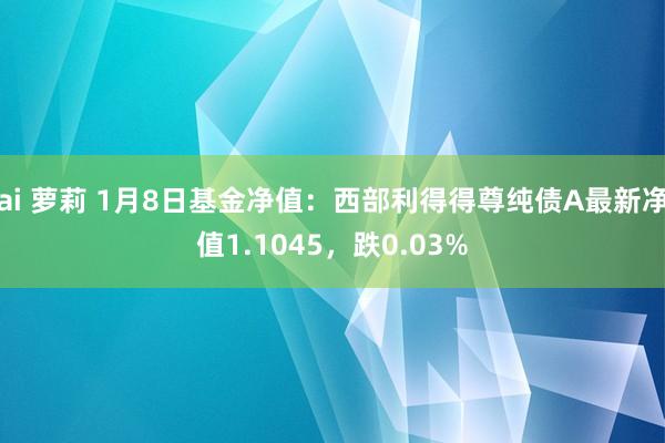 ai 萝莉 1月8日基金净值：西部利得得尊纯债A最新净值1.1045，跌0.03%
