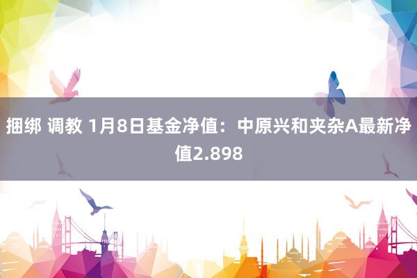 捆绑 调教 1月8日基金净值：中原兴和夹杂A最新净值2.898