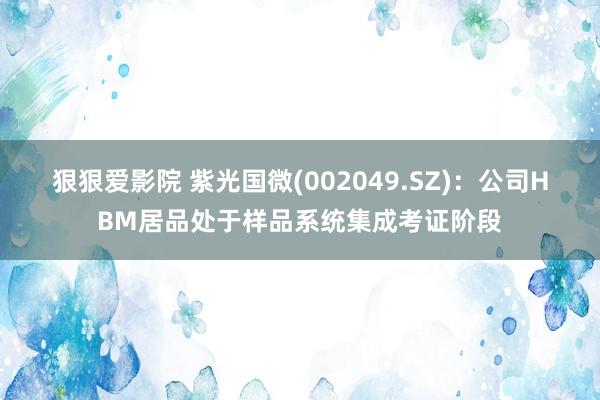 狠狠爱影院 紫光国微(002049.SZ)：公司HBM居品处于样品系统集成考证阶段