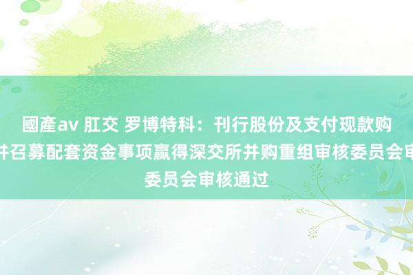 國產av 肛交 罗博特科：刊行股份及支付现款购买金钱并召募配套资金事项赢得深交所并购重组审核委员会审核通过