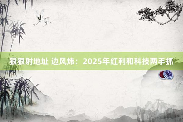 狠狠射地址 边风炜:2025年红利和科技两手抓