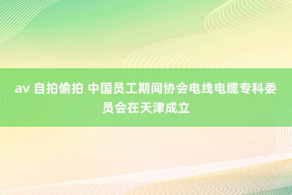 av 自拍偷拍 中国员工期间协会电线电缆专科委员会在天津成立